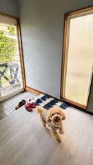 SORA Blue House-image