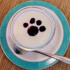 ヨーグルト