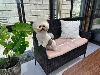おもてなしハウスさいたま3号室-image