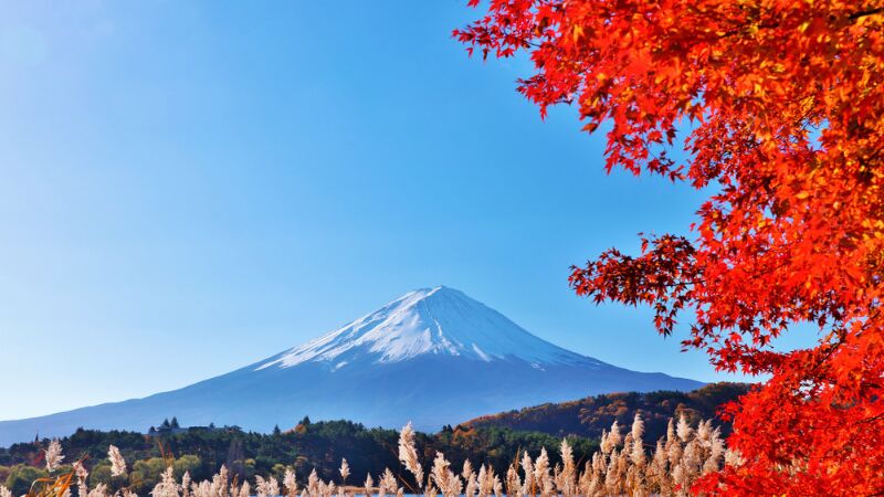【2026年最新】山梨観光の穴場スポット10選!自然の絶景からアクティブ体験、歴史散策まで