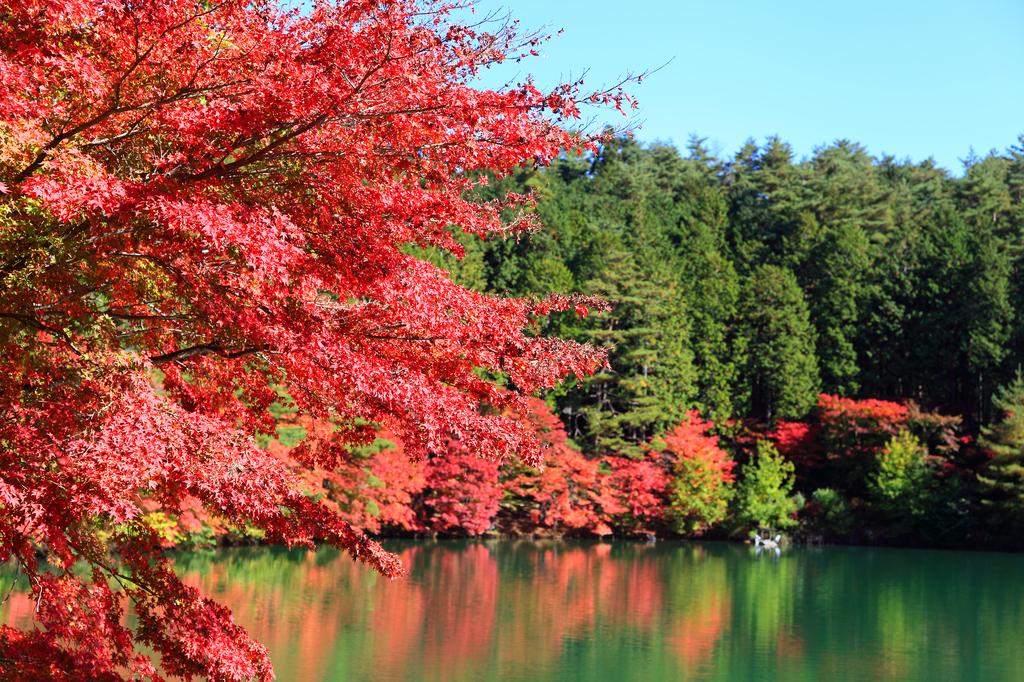 伊奈ヶ湖
