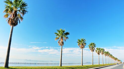 【2026年最新】千葉でおすすめの貸別荘・コテージ13選!海遊び・星空・釣りを楽しめる