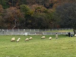 牧場公園