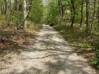 かわせみ遊歩道