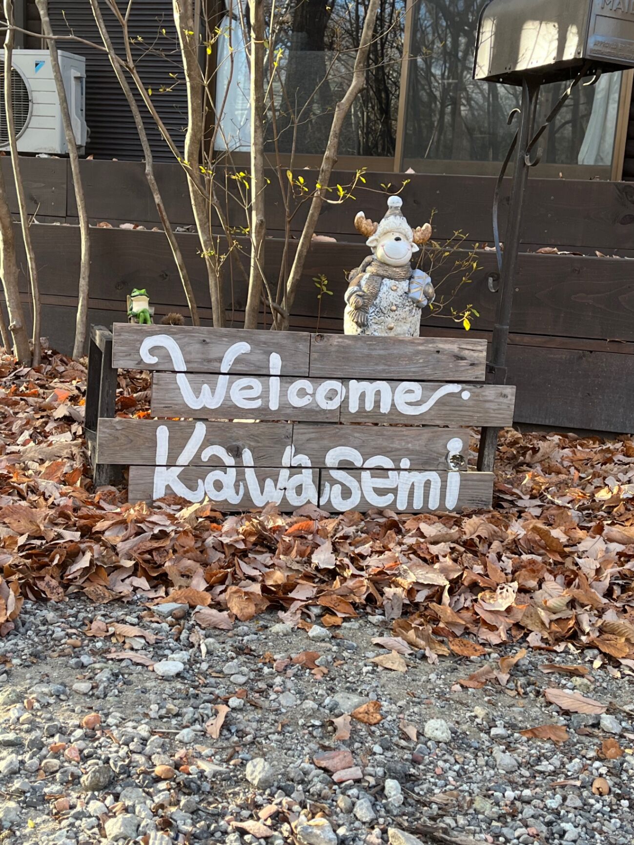冬⛄️のかわせみ