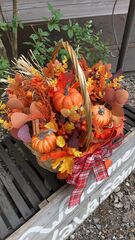 かわせみハロウィン🎃