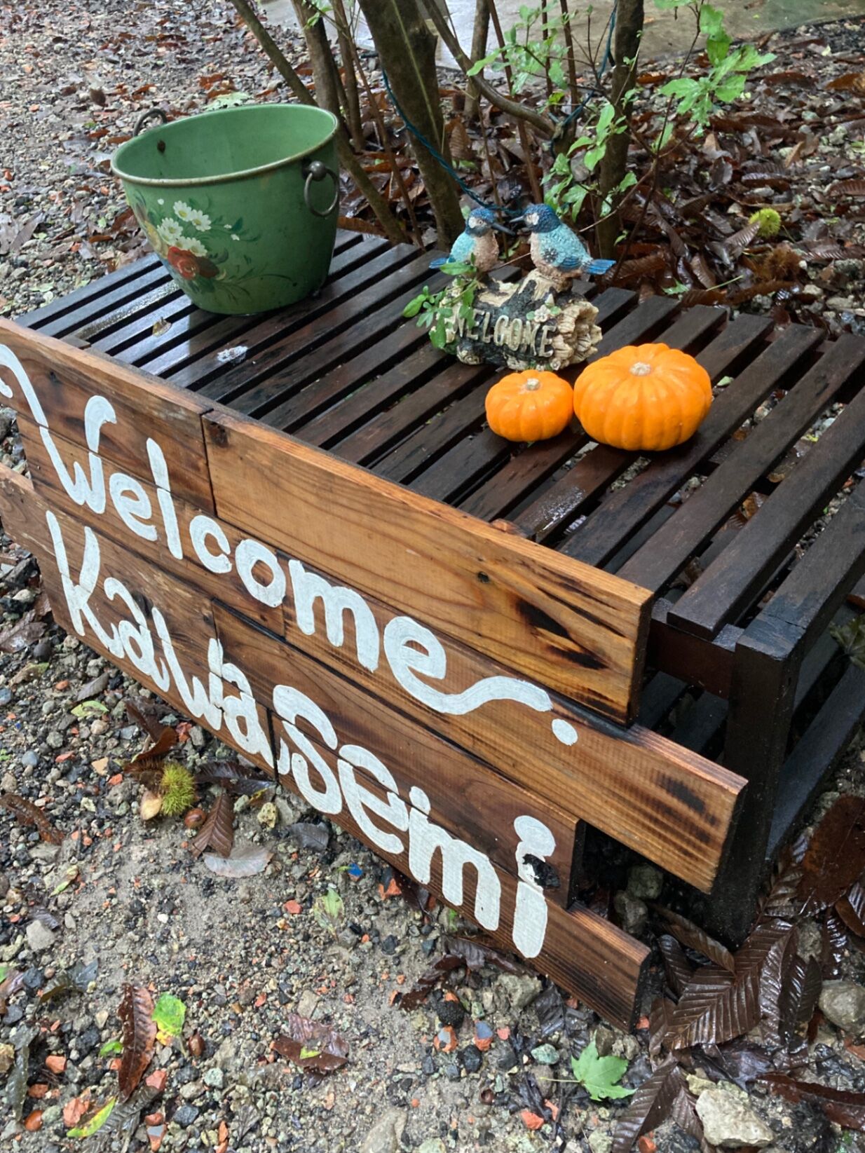かわせみハロウィン🎃