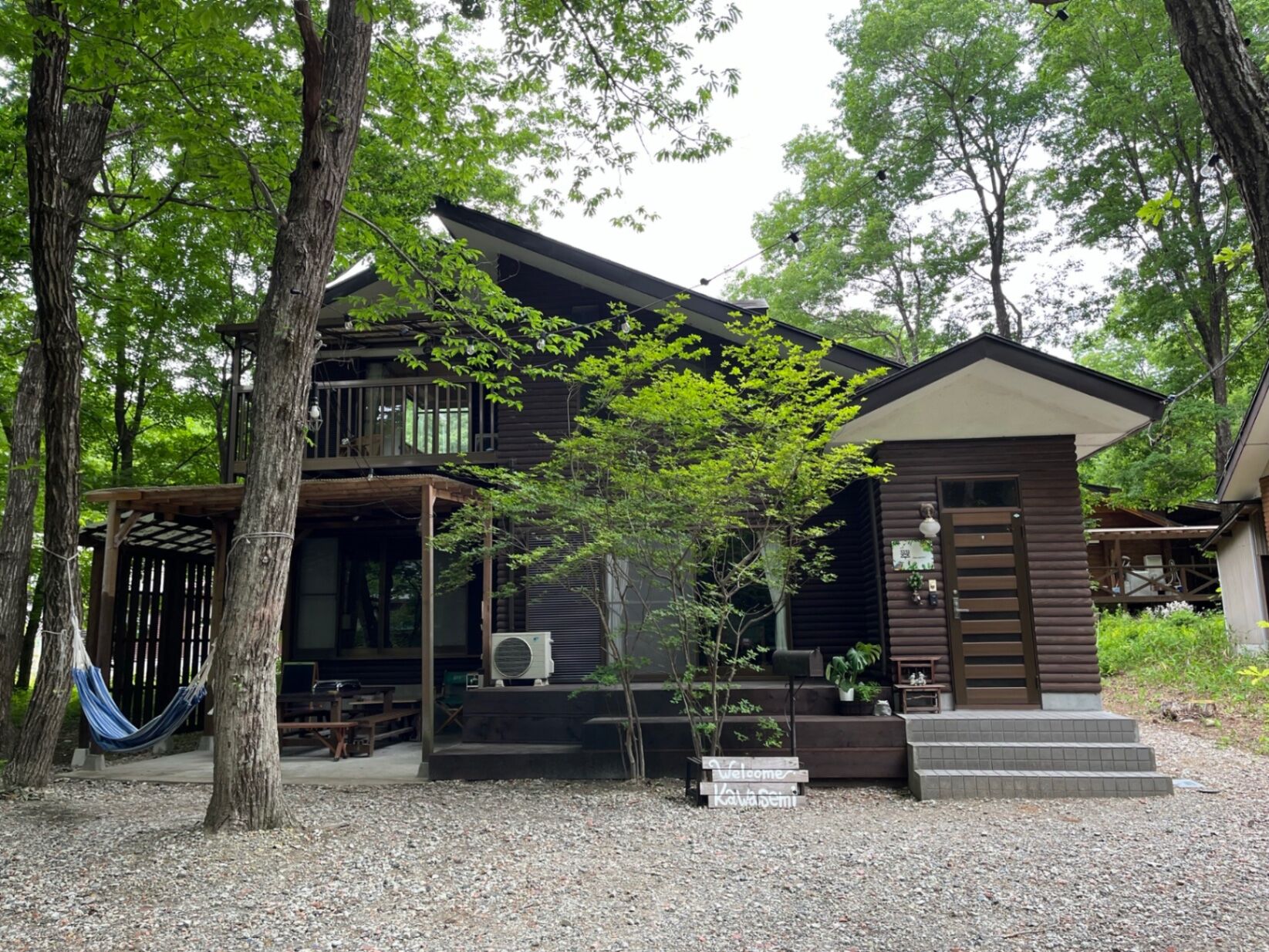 新緑のかわせみ