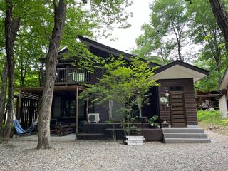 新緑のかわせみ