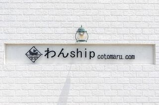 わんship-image