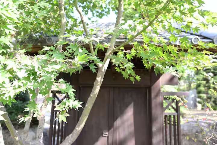 風乃旅庵　楓雅-image