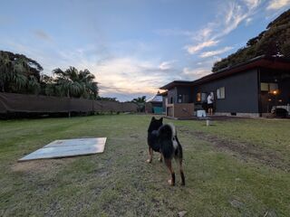 愛犬と過ごせる庭