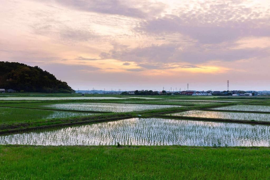 顔HOUSE•若水庵-image