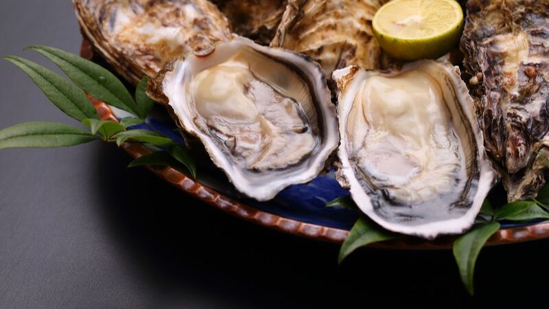 牡蠣の旬はいつ?真牡蠣・岩牡蠣の時期と産地別の美味しい季節