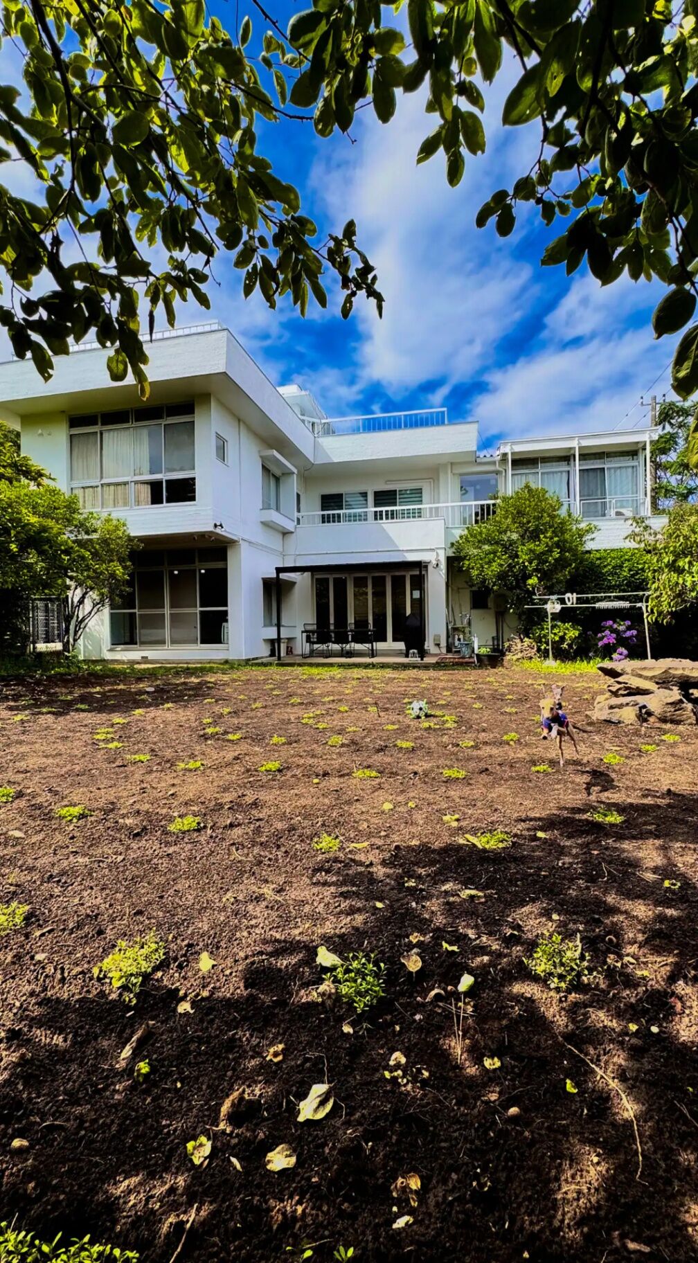 400m2のドッグランは、160cm以上のアルミフェンスで囲われていて、安全に遊んでいただけます。