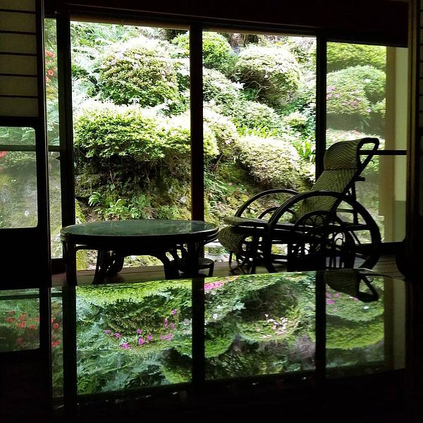 客室からの眺め