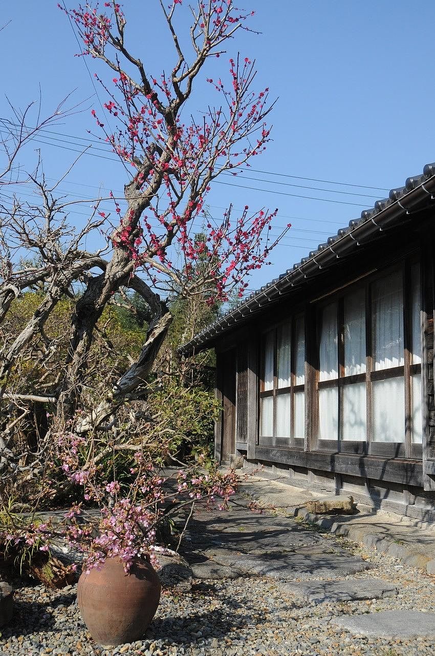 伊豆の温泉古民家の宿　彩里-image