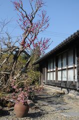 伊豆の温泉古民家の宿　彩里-image
