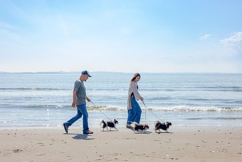 AND LIKE SERIES 別邸１st / 千葉県 木更津・富津・鋸南