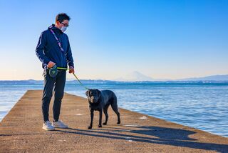 晴れた日には綺麗な富士山が見れるかも!