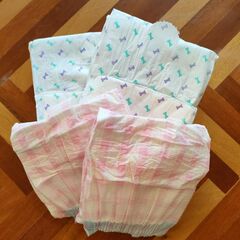 わんわんアニメティ⑤マナーパンツ S/M/L各種ご用意しております。