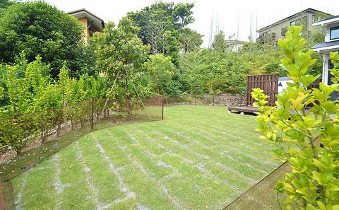 オリーブハウス / 静岡県 東伊豆・伊東・伊豆高原・河津