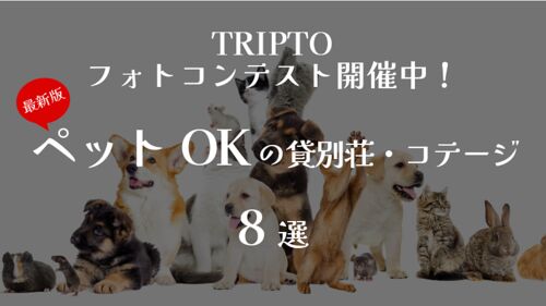TRIPTOフォトコンテスト開催中！
＜最新版＞ペットOKの貸別荘・コテージ 8選
