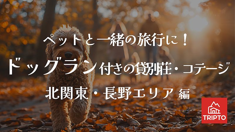 ペットと一緒の旅行に!ドッグラン付きの貸別荘・コテージ 北関東・長野エリア編