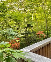 雅・小涌谷 温泉別荘-image