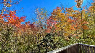 雅・小涌谷 温泉別荘-image