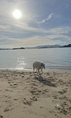 車で15分の海で遊べます