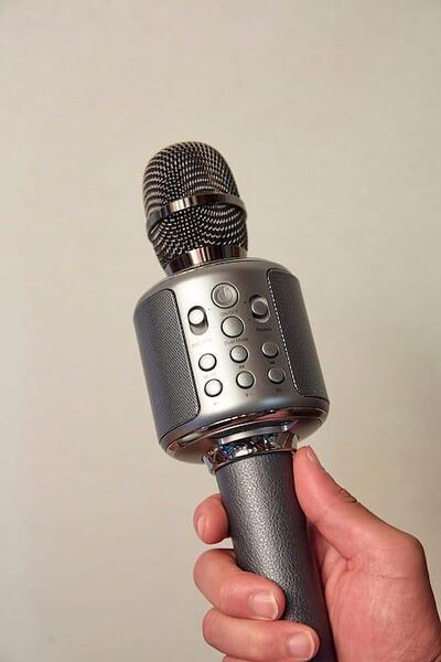 和室にあるハンディカラオケ、リビングでもお楽しみ頂けます。