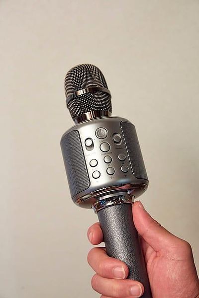 和室にあるハンディカラオケ、リビングでもお楽しみ頂けます。