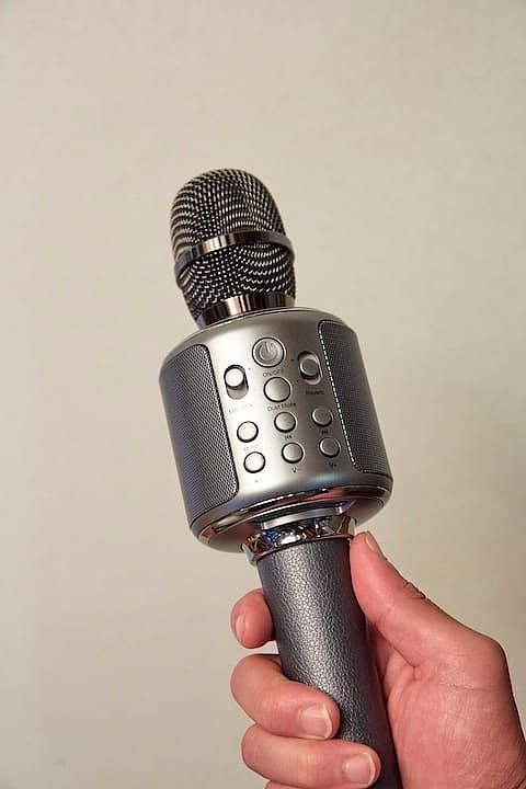 和室にあるハンディカラオケ、リビングでもお楽しみ頂けます。