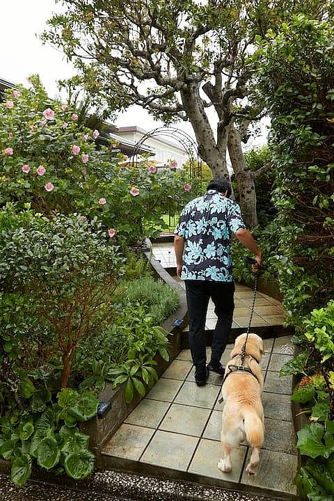 お散歩から帰って来て、お庭に。