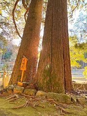 ラカミオ　LaKamio refuge&restaurant -image