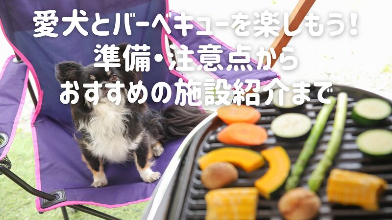 愛犬とバーベキューを楽しもう！準備・注意点からおすすめの施設紹介まで