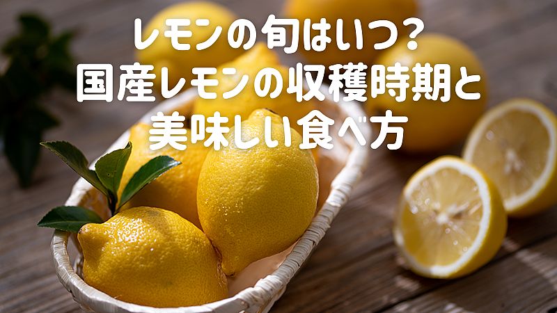 レモンの旬はいつ？国産レモンの収穫時期と美味しい食べ方