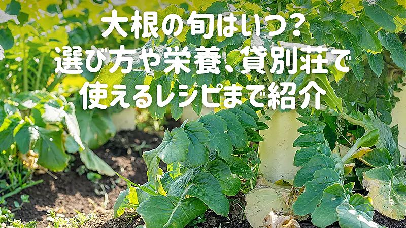 大根の旬はいつ？選び方や栄養、貸別荘で使えるレシピまで紹介