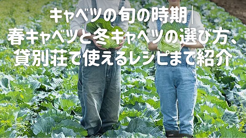 キャベツの旬の時期｜春キャベツと冬キャベツの選び方、貸別荘で使えるレシピまで紹介