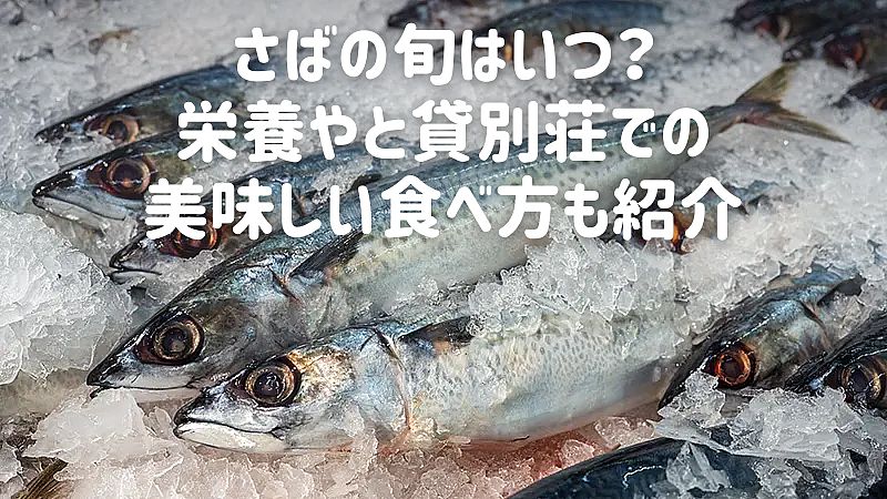 さばの旬はいつ？栄養やと貸別荘での美味しい食べ方も紹介