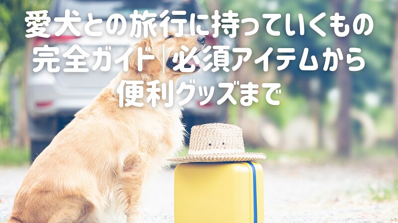 愛犬との旅行に持っていくもの完全ガイド|必須アイテムから便利グッズまで