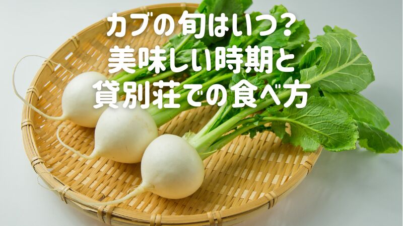 カブの旬はいつ?美味しい時期と貸別荘での食べ方