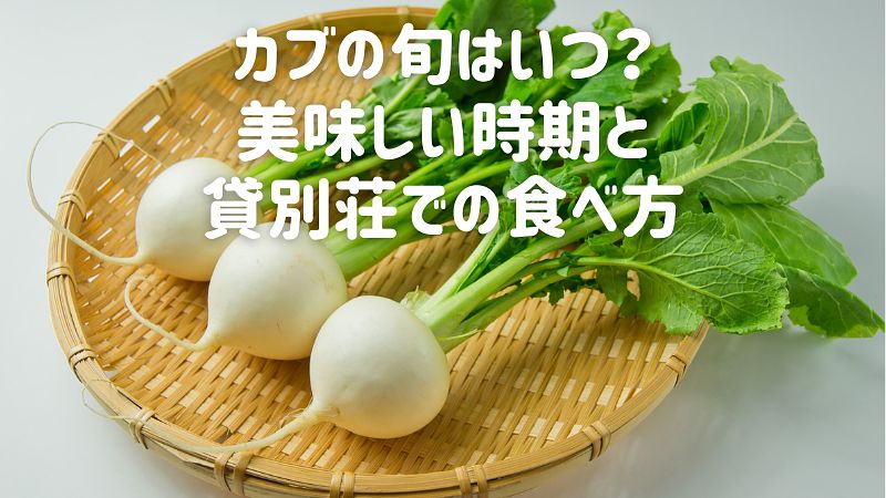 カブの旬はいつ?美味しい時期と貸別荘での食べ方