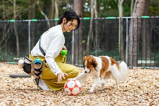 四季の宿 こよみ 睦月-image