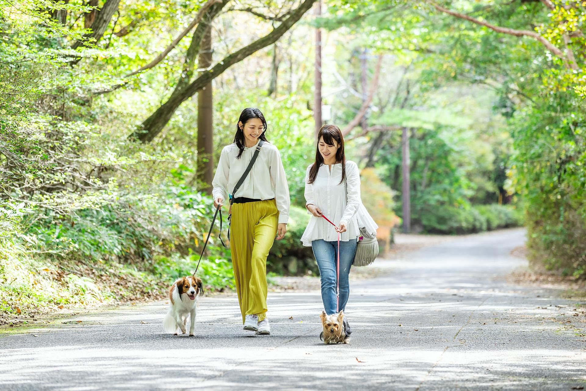 四季の宿　こよみ　弥生-image