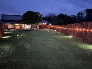 夜はライトアップされます