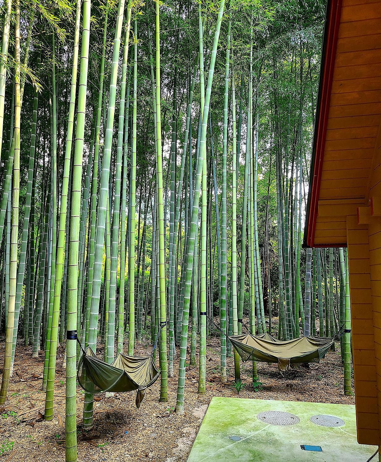 貸切別荘あかがね荘-image