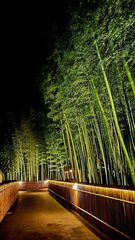 貸切別荘あかがね荘-image