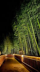 貸切別荘あかがね荘-image